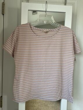 Madewell White Tee with Rust Stripe Detail